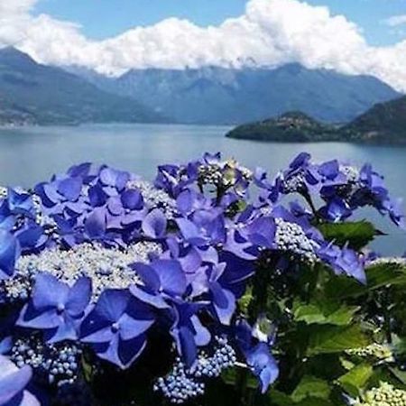 Agriturismo Piccolo Paradiso Pianello Del Lario Экстерьер фото