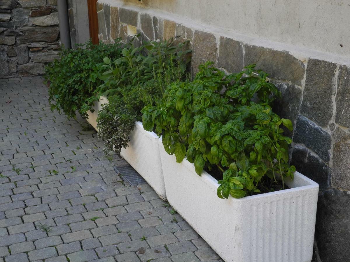 Agriturismo Piccolo Paradiso Pianello Del Lario Экстерьер фото