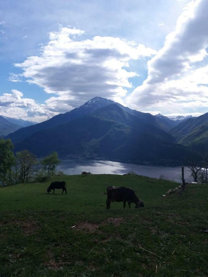 Agriturismo Piccolo Paradiso Pianello Del Lario Экстерьер фото
