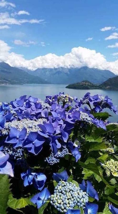 Agriturismo Piccolo Paradiso Pianello Del Lario Экстерьер фото