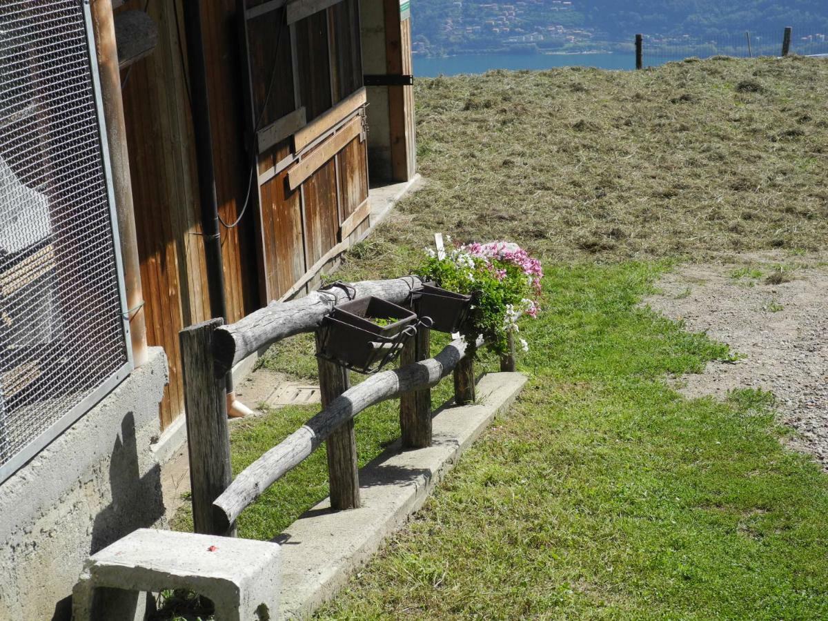 Agriturismo Piccolo Paradiso Pianello Del Lario Экстерьер фото