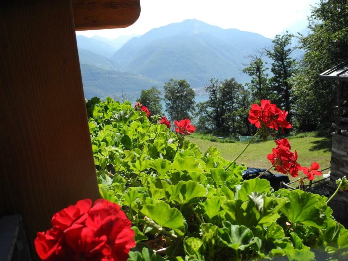 Agriturismo Piccolo Paradiso Pianello Del Lario Экстерьер фото