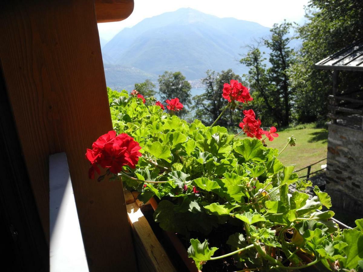 Agriturismo Piccolo Paradiso Pianello Del Lario Экстерьер фото