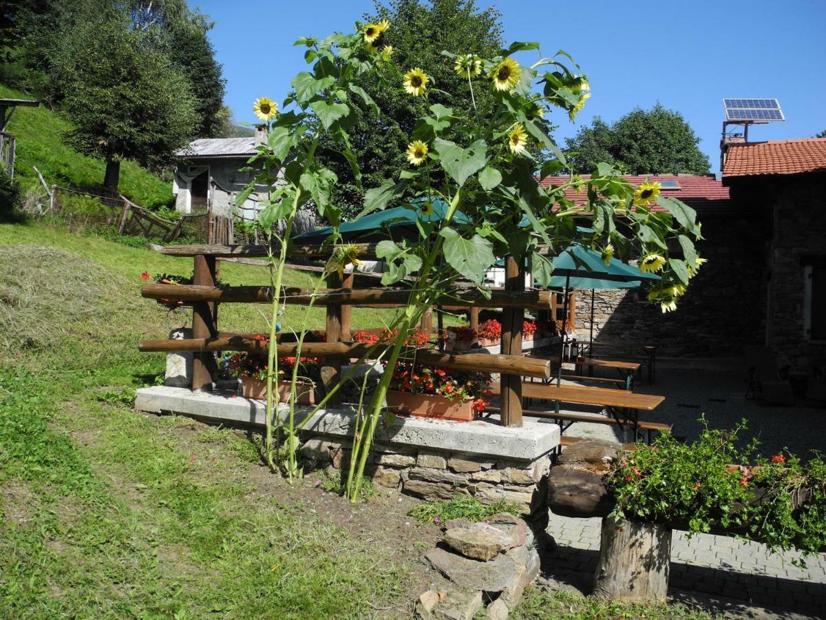 Agriturismo Piccolo Paradiso Pianello Del Lario Экстерьер фото